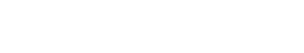 N2G_Logo_White